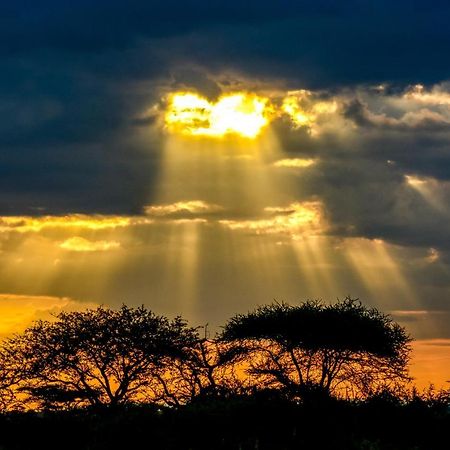 Africa Safari Serengeti Ikoma - Wildebeest Migration Is Around! Экстерьер фото