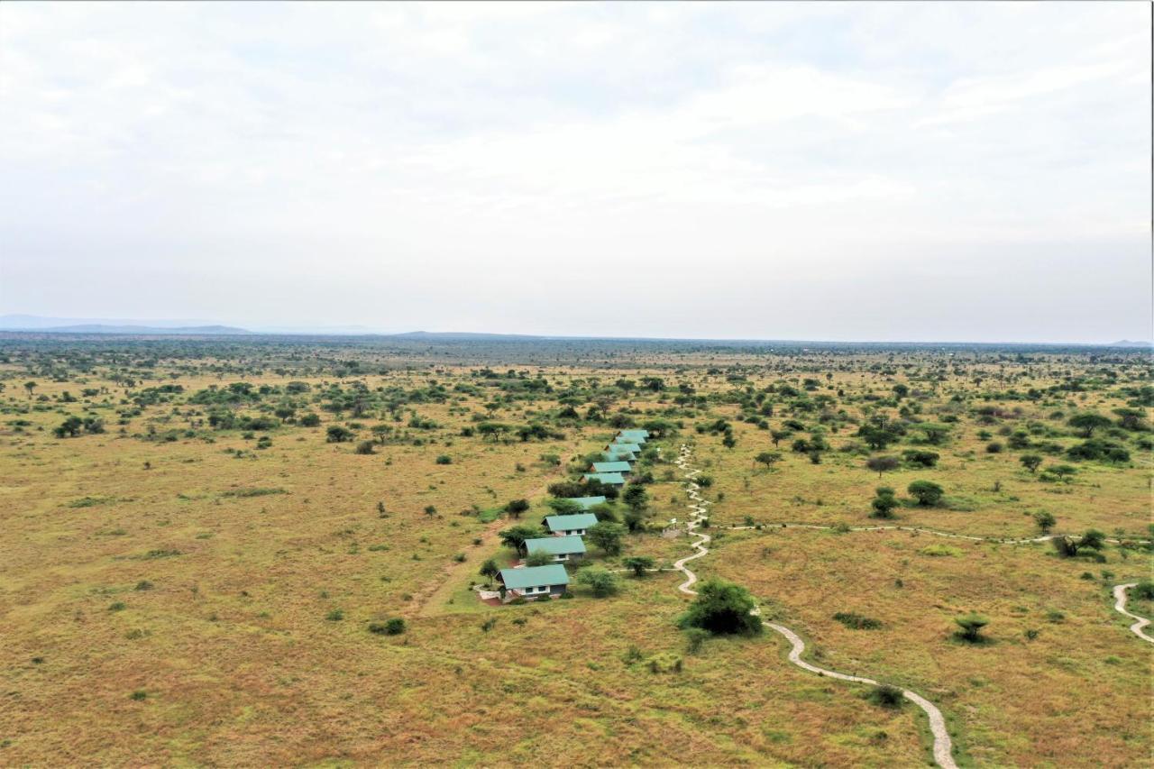 Africa Safari Serengeti Ikoma - Wildebeest Migration Is Around! Экстерьер фото