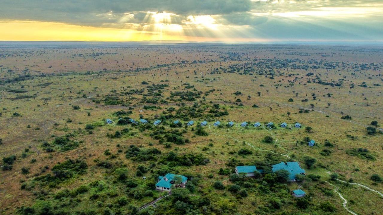 Africa Safari Serengeti Ikoma - Wildebeest Migration Is Around! Экстерьер фото