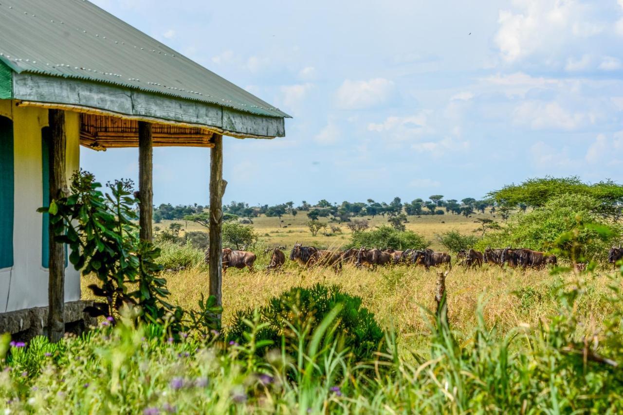 Africa Safari Serengeti Ikoma - Wildebeest Migration Is Around! Экстерьер фото