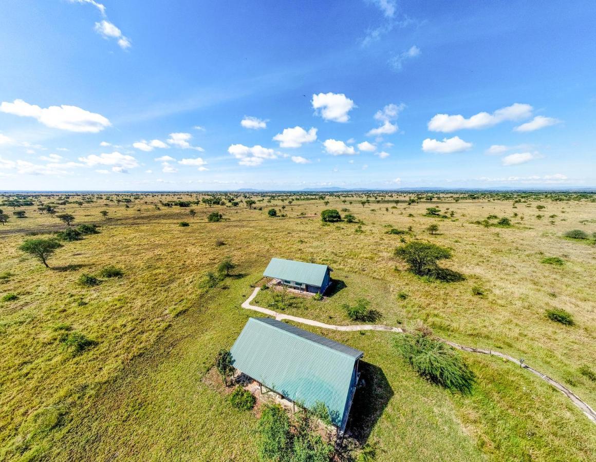 Africa Safari Serengeti Ikoma - Wildebeest Migration Is Around! Экстерьер фото