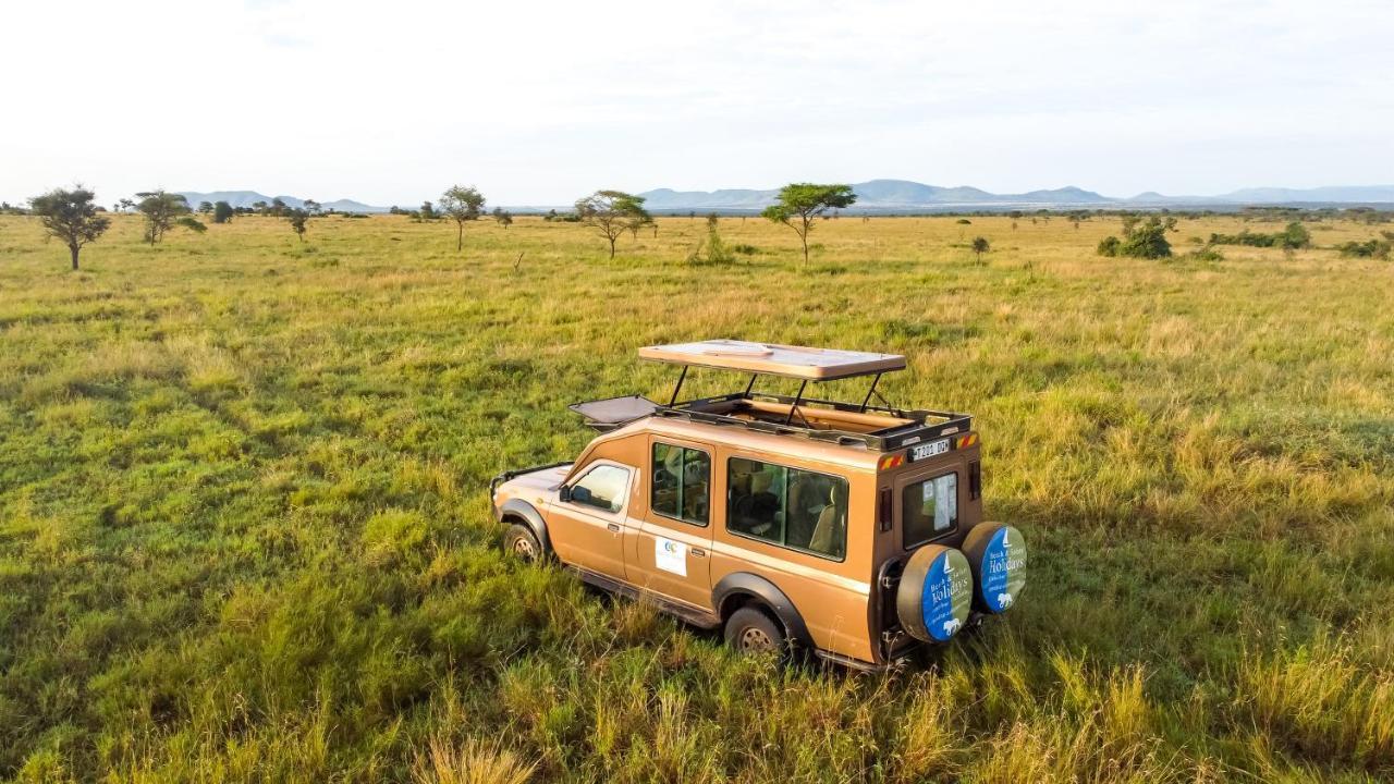 Africa Safari Serengeti Ikoma - Wildebeest Migration Is Around! Экстерьер фото