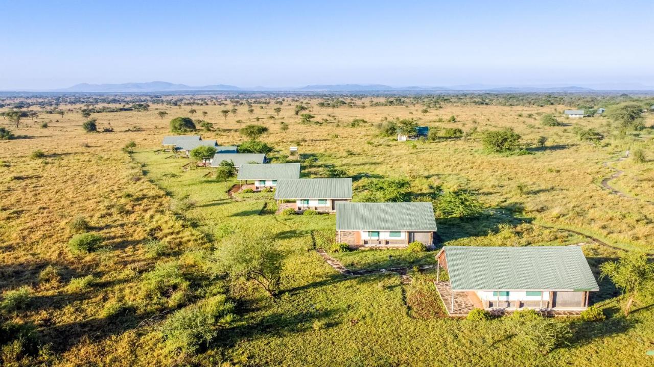 Africa Safari Serengeti Ikoma - Wildebeest Migration Is Around! Экстерьер фото