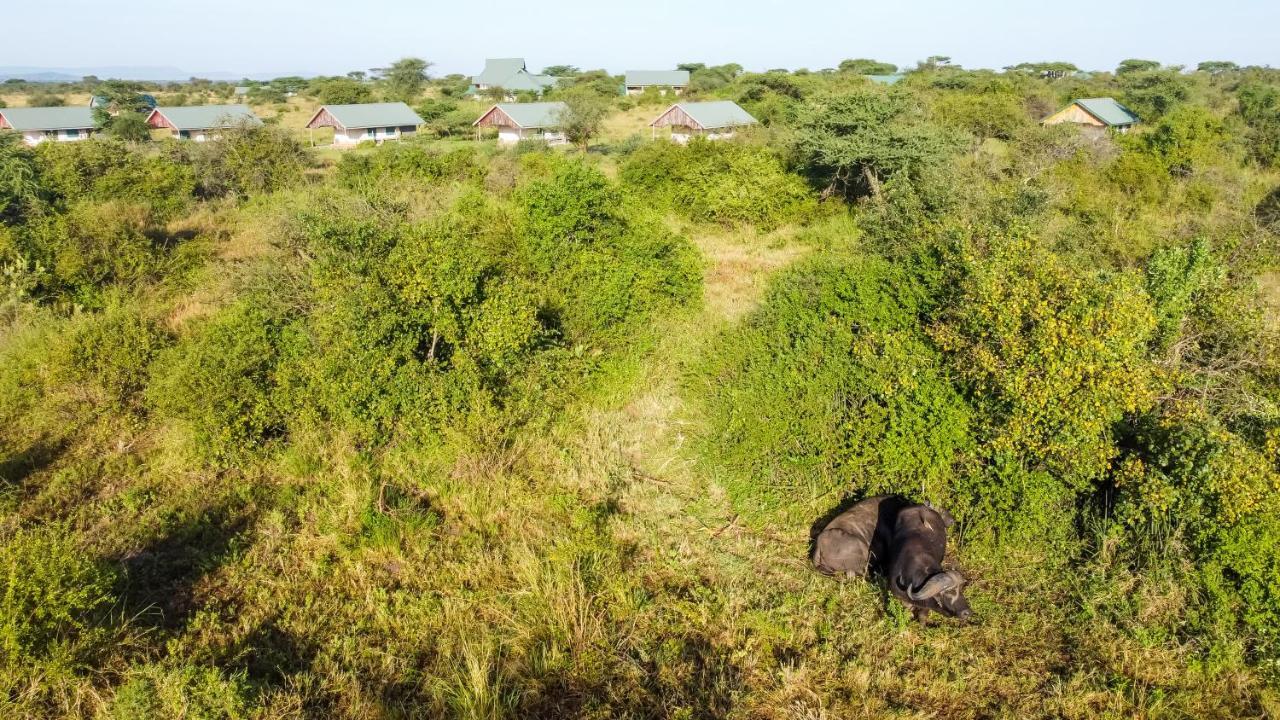 Africa Safari Serengeti Ikoma Экстерьер фото