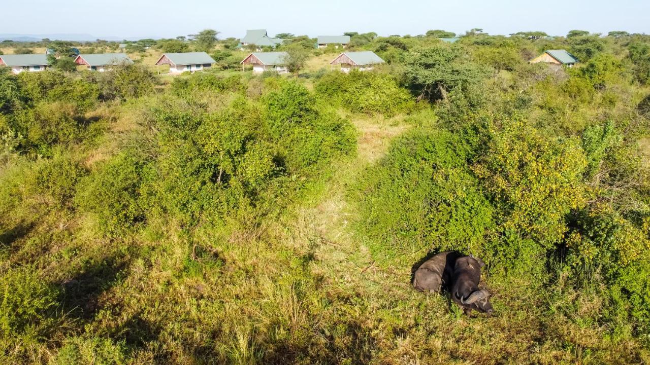 Africa Safari Serengeti Ikoma - Wildebeest Migration Is Around! Экстерьер фото