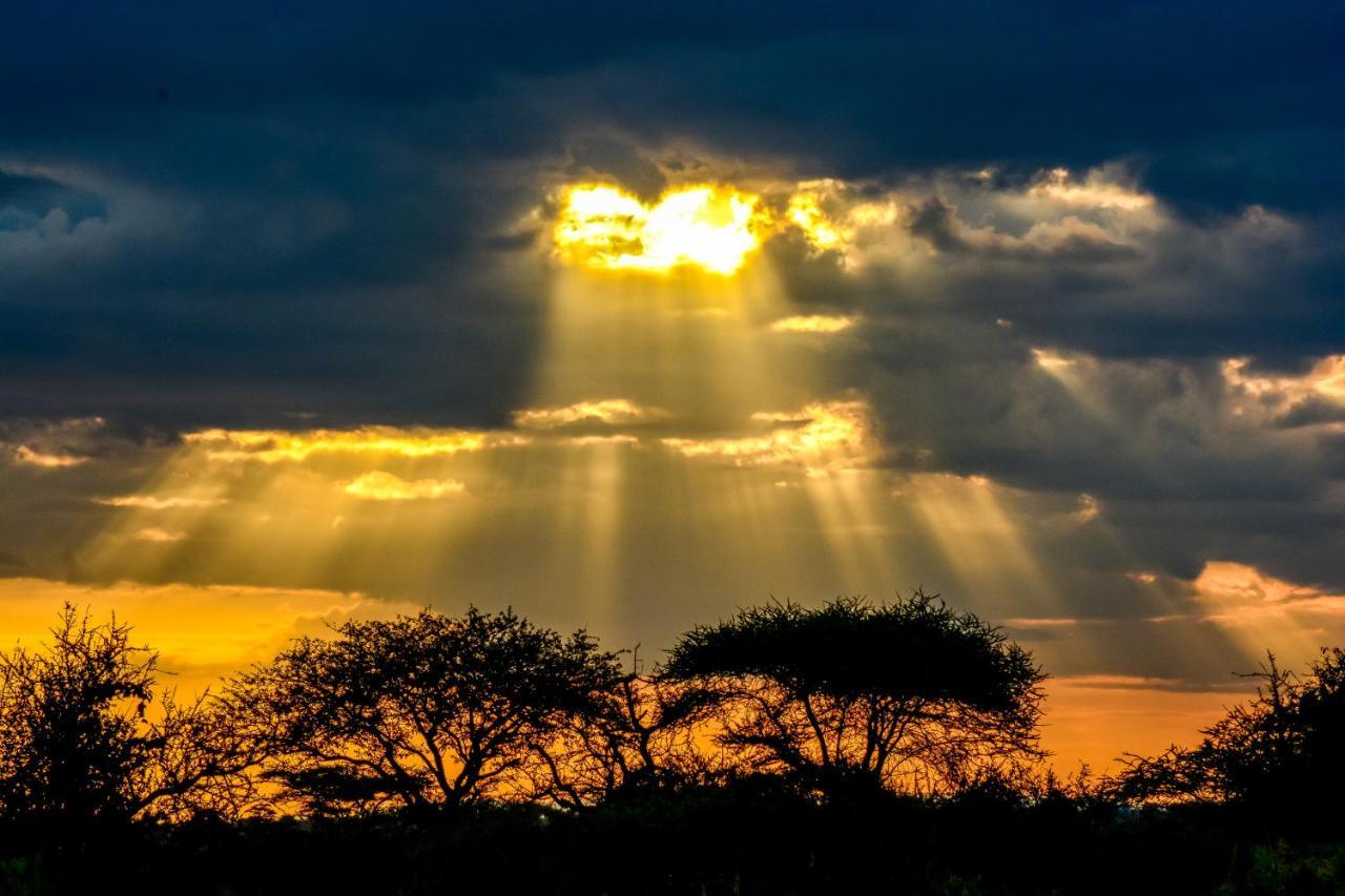 Africa Safari Serengeti Ikoma - Wildebeest Migration Is Around! Экстерьер фото