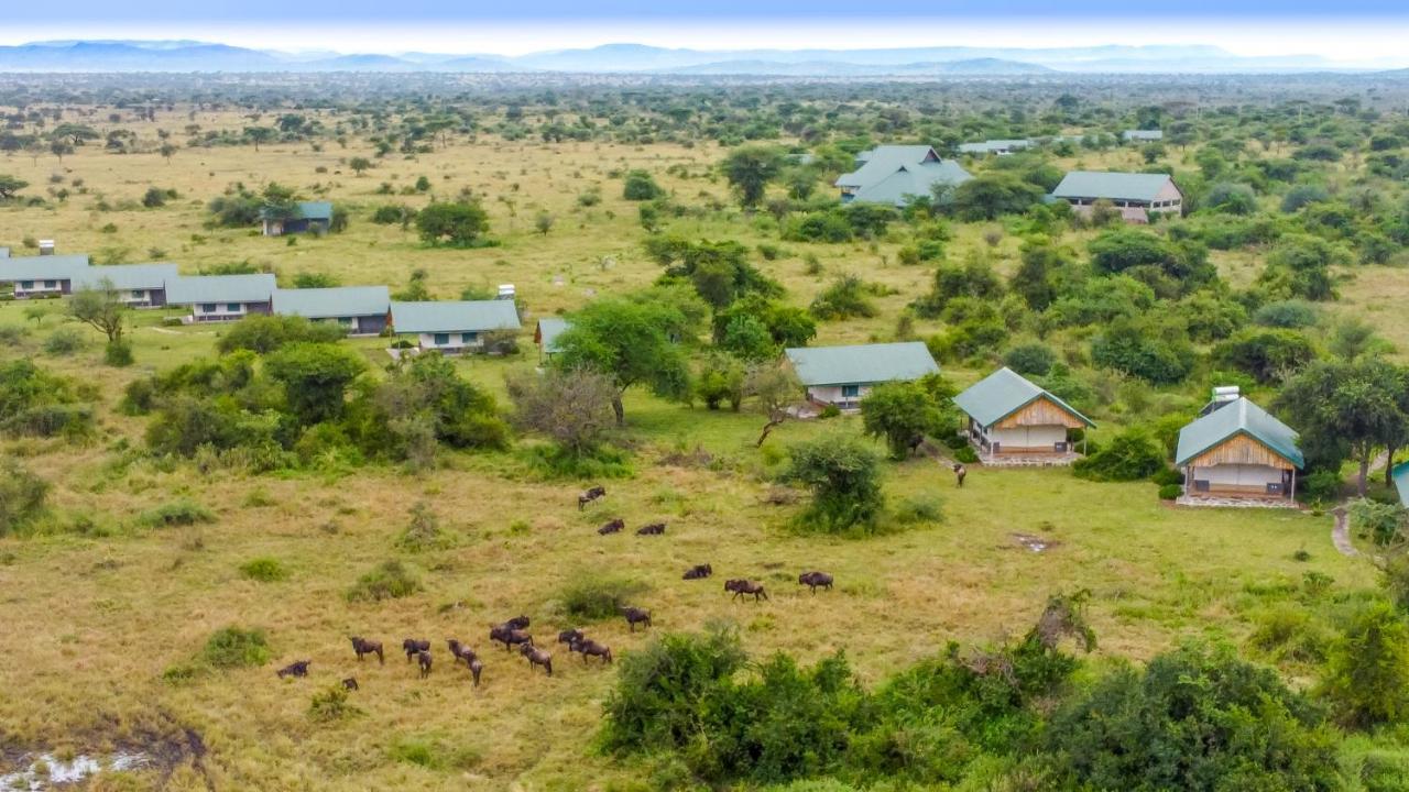 Africa Safari Serengeti Ikoma - Wildebeest Migration Is Around! Экстерьер фото