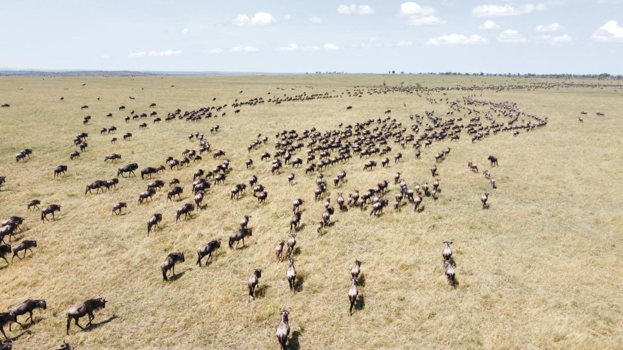 Africa Safari Serengeti Ikoma Экстерьер фото
