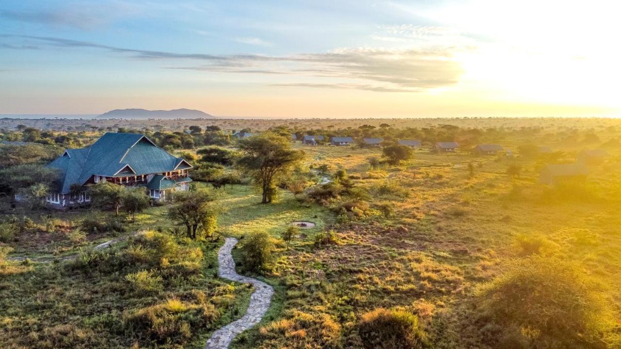 Africa Safari Serengeti Ikoma - Wildebeest Migration Is Around! Экстерьер фото