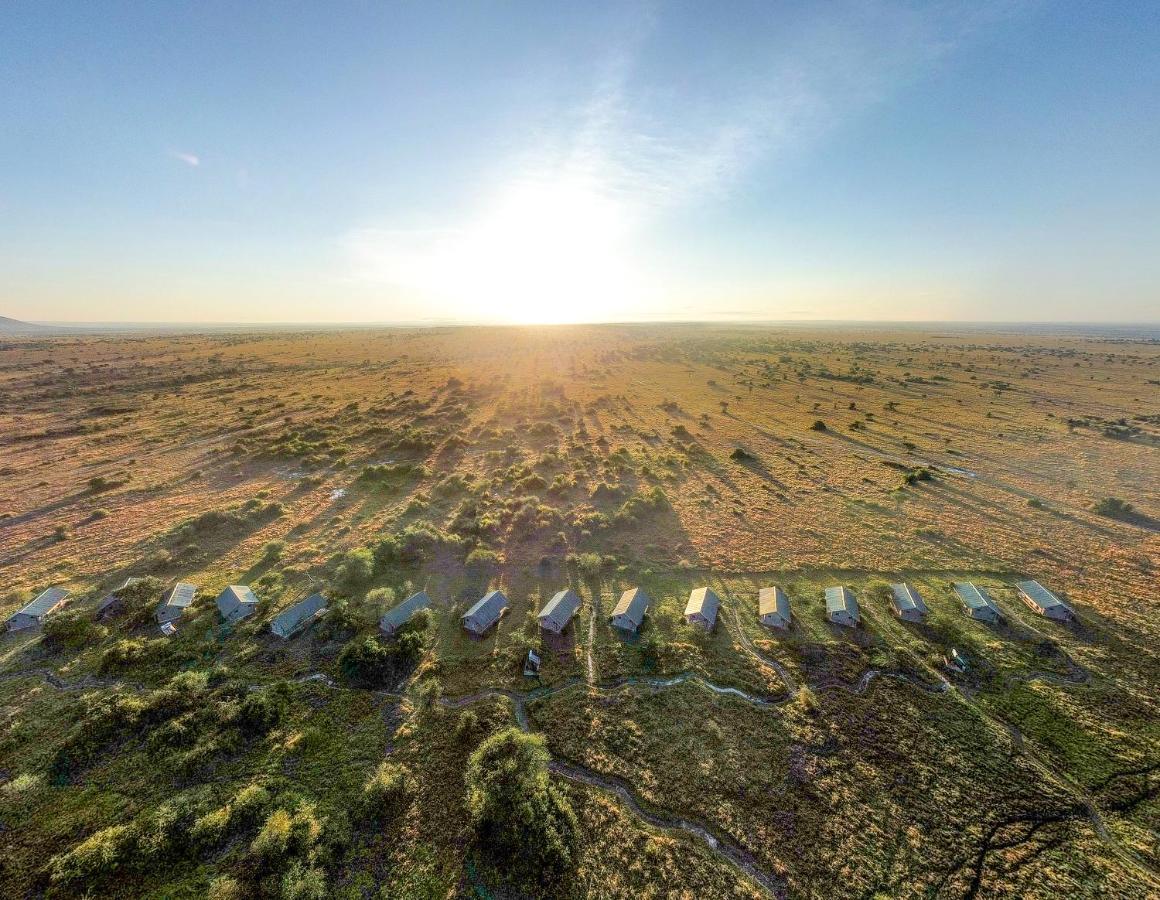 Africa Safari Serengeti Ikoma - Wildebeest Migration Is Around! Экстерьер фото