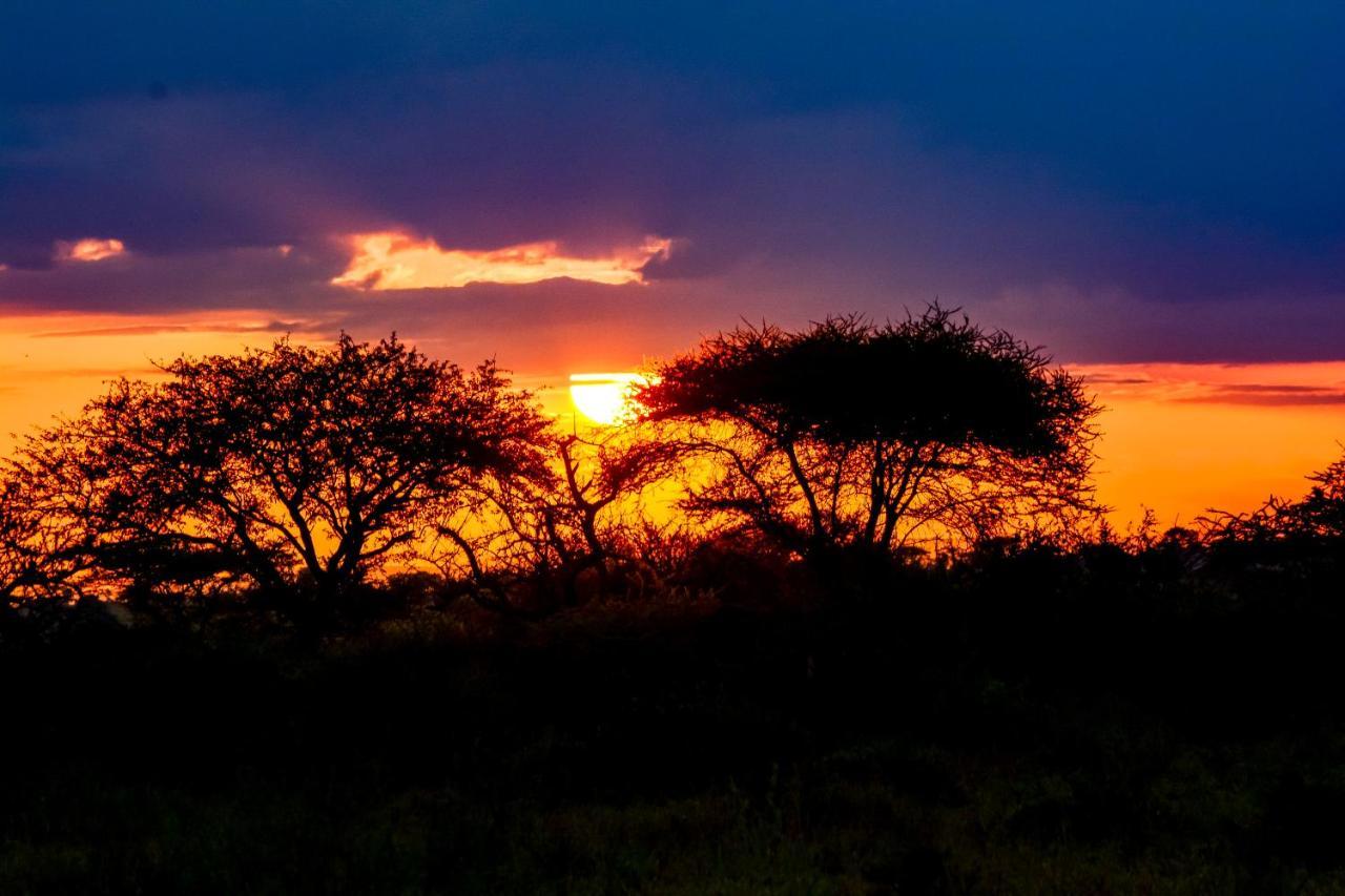 Africa Safari Serengeti Ikoma Экстерьер фото