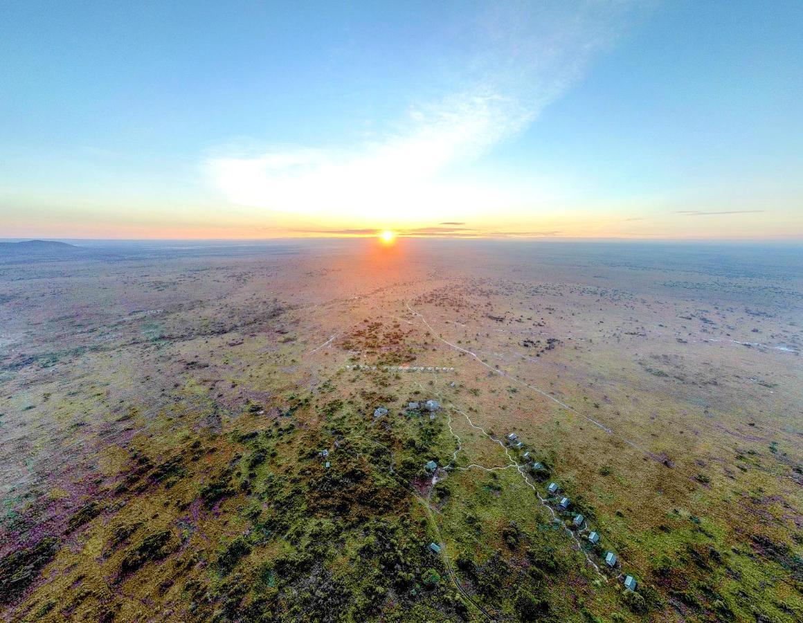 Africa Safari Serengeti Ikoma - Wildebeest Migration Is Around! Экстерьер фото